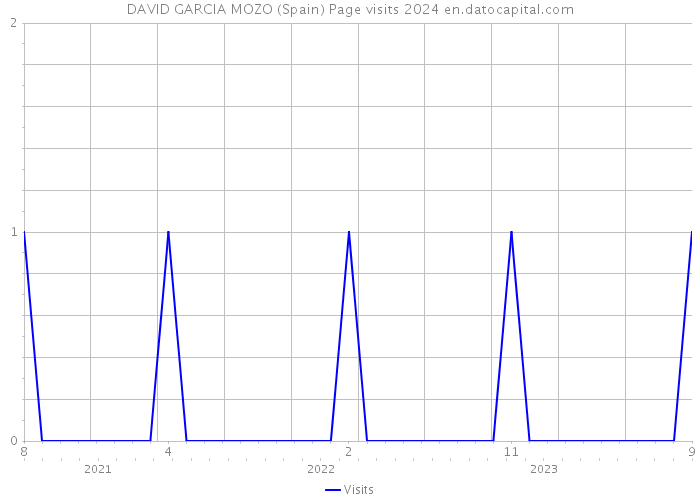 DAVID GARCIA MOZO (Spain) Page visits 2024 