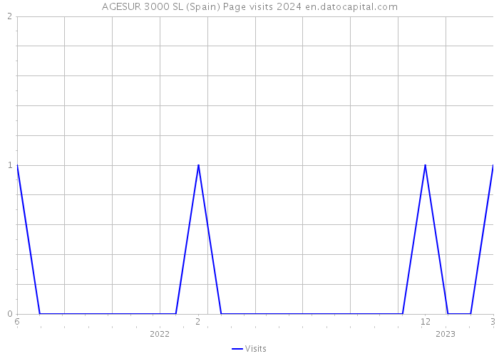 AGESUR 3000 SL (Spain) Page visits 2024 