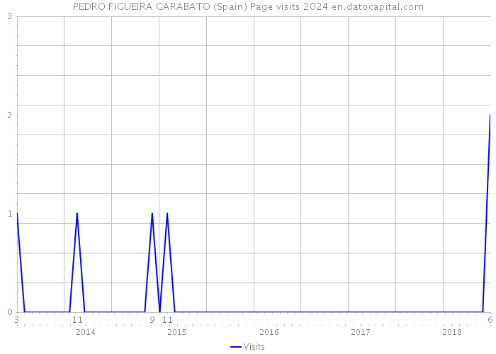 PEDRO FIGUEIRA GARABATO (Spain) Page visits 2024 