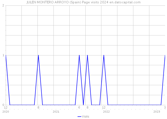 JULEN MONTERO ARROYO (Spain) Page visits 2024 