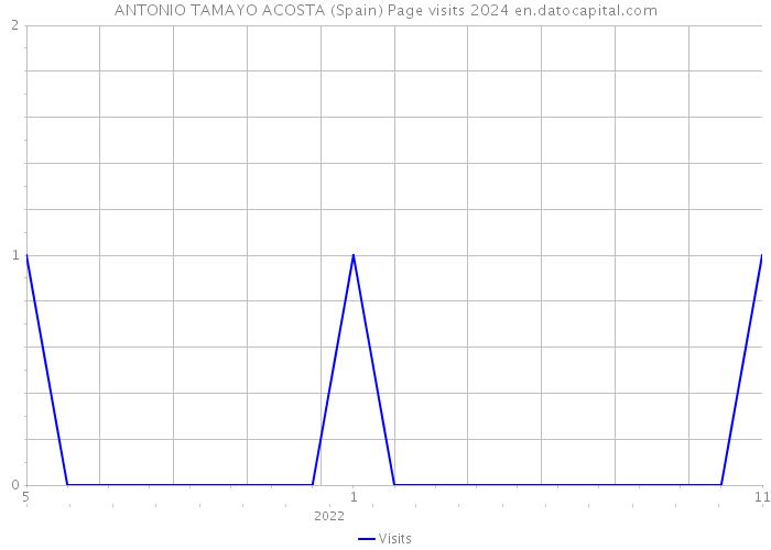 ANTONIO TAMAYO ACOSTA (Spain) Page visits 2024 