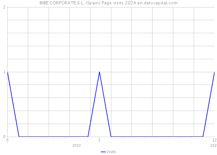 BIBE CORPORATE S.L. (Spain) Page visits 2024 