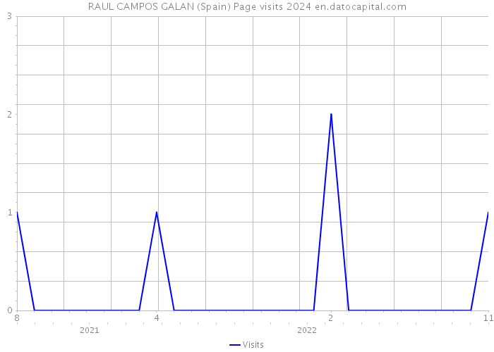 RAUL CAMPOS GALAN (Spain) Page visits 2024 
