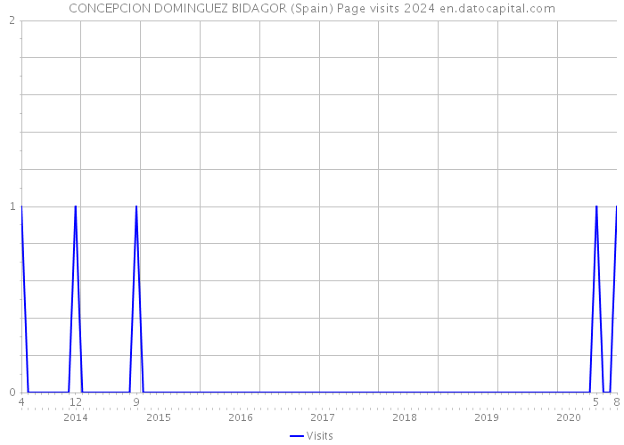CONCEPCION DOMINGUEZ BIDAGOR (Spain) Page visits 2024 