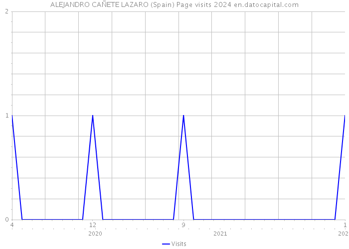 ALEJANDRO CAÑETE LAZARO (Spain) Page visits 2024 