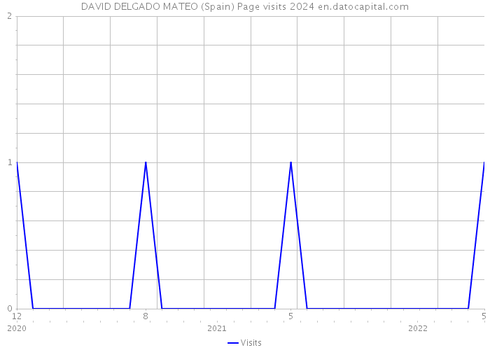 DAVID DELGADO MATEO (Spain) Page visits 2024 