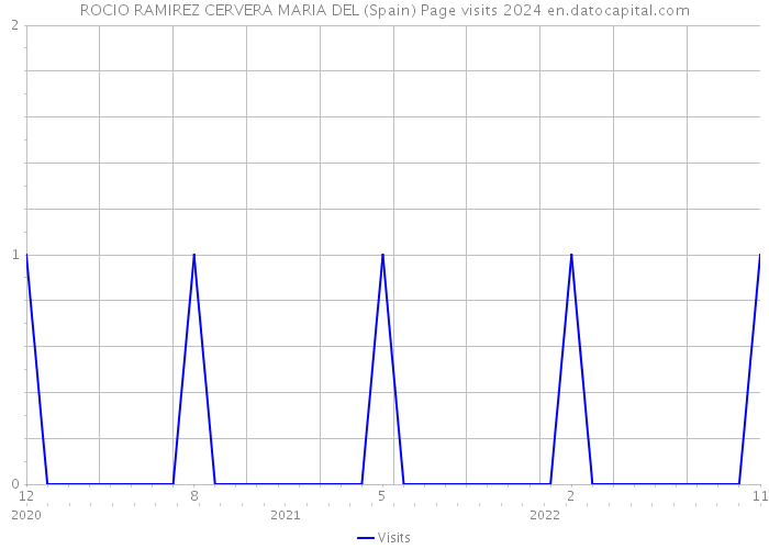 ROCIO RAMIREZ CERVERA MARIA DEL (Spain) Page visits 2024 