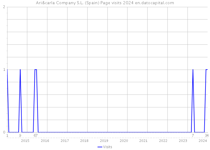 Ari&carla Company S.L. (Spain) Page visits 2024 