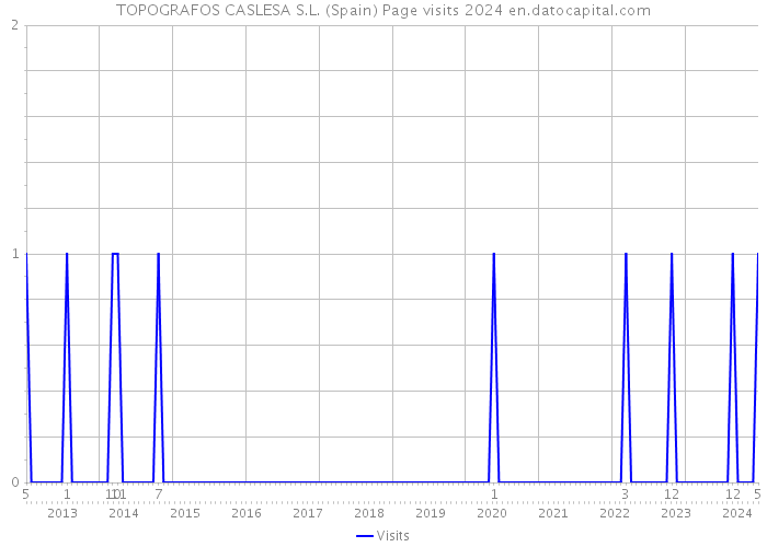 TOPOGRAFOS CASLESA S.L. (Spain) Page visits 2024 