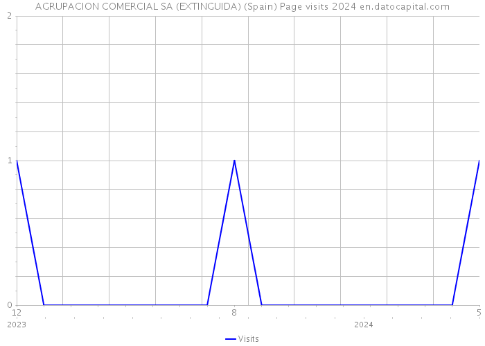 AGRUPACION COMERCIAL SA (EXTINGUIDA) (Spain) Page visits 2024 