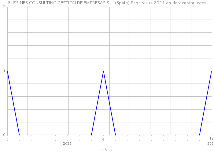 BUSSINES CONSULTING GESTION DE EMPRESAS S.L. (Spain) Page visits 2024 
