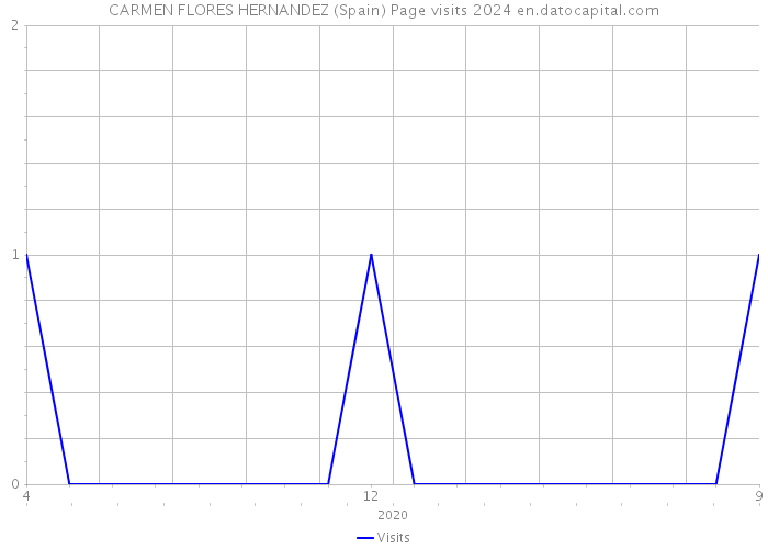 CARMEN FLORES HERNANDEZ (Spain) Page visits 2024 