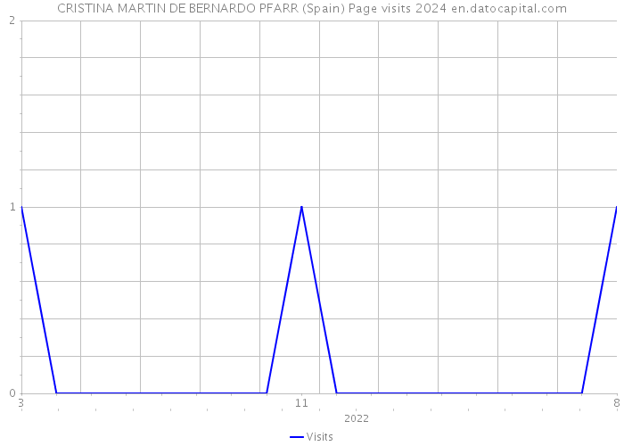 CRISTINA MARTIN DE BERNARDO PFARR (Spain) Page visits 2024 