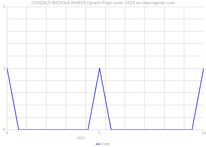 GONZALO BADIOLA RAMOS (Spain) Page visits 2024 