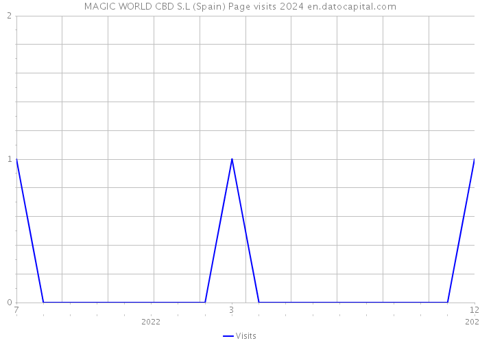 MAGIC WORLD CBD S.L (Spain) Page visits 2024 