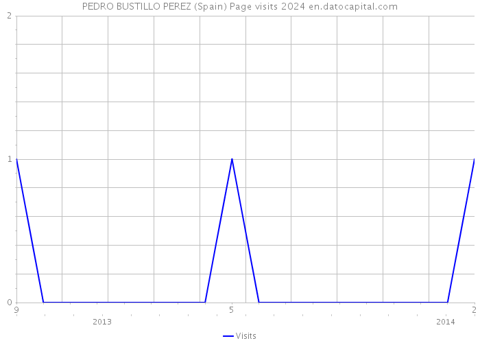 PEDRO BUSTILLO PEREZ (Spain) Page visits 2024 