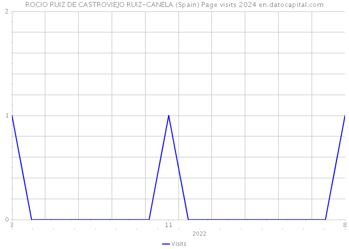 ROCIO RUIZ DE CASTROVIEJO RUIZ-CANELA (Spain) Page visits 2024 