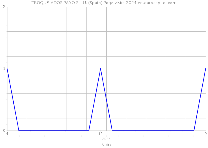 TROQUELADOS PAYO S.L.U. (Spain) Page visits 2024 