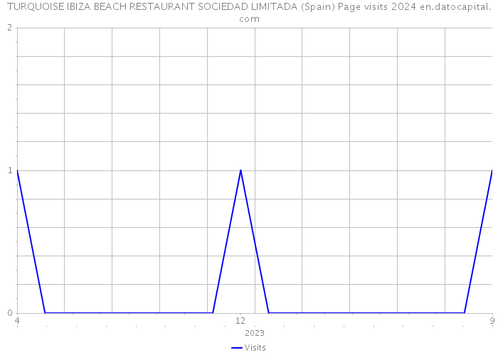 TURQUOISE IBIZA BEACH RESTAURANT SOCIEDAD LIMITADA (Spain) Page visits 2024 