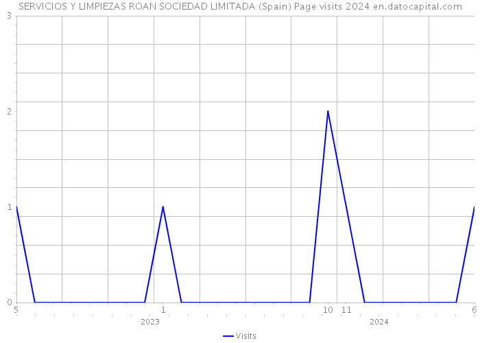 SERVICIOS Y LIMPIEZAS ROAN SOCIEDAD LIMITADA (Spain) Page visits 2024 