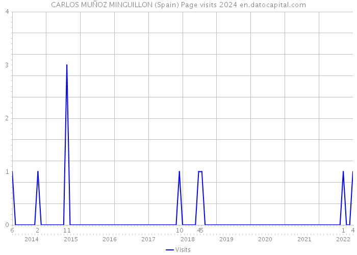 CARLOS MUÑOZ MINGUILLON (Spain) Page visits 2024 