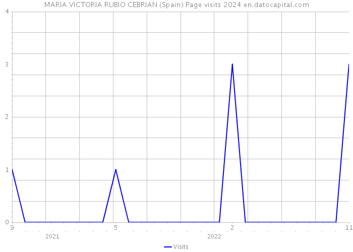 MARIA VICTORIA RUBIO CEBRIAN (Spain) Page visits 2024 