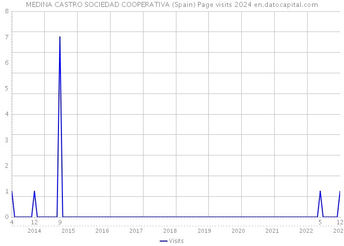 MEDINA CASTRO SOCIEDAD COOPERATIVA (Spain) Page visits 2024 