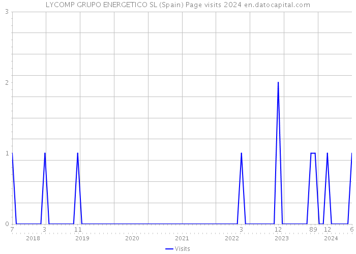 LYCOMP GRUPO ENERGETICO SL (Spain) Page visits 2024 