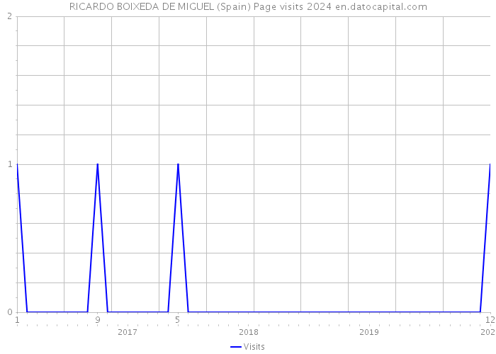 RICARDO BOIXEDA DE MIGUEL (Spain) Page visits 2024 