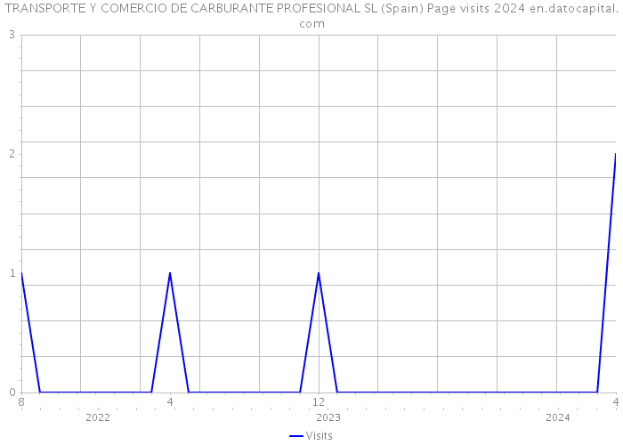 TRANSPORTE Y COMERCIO DE CARBURANTE PROFESIONAL SL (Spain) Page visits 2024 