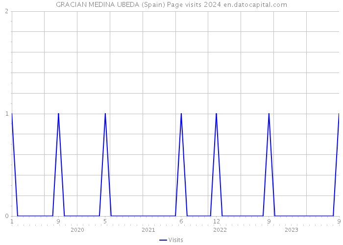 GRACIAN MEDINA UBEDA (Spain) Page visits 2024 