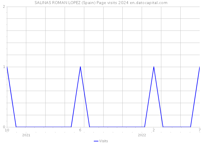 SALINAS ROMAN LOPEZ (Spain) Page visits 2024 