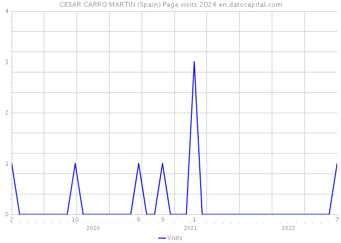 CESAR CARRO MARTIN (Spain) Page visits 2024 