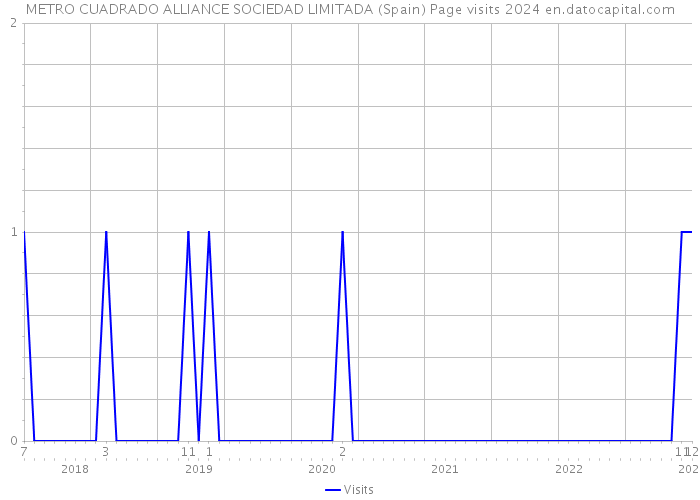 METRO CUADRADO ALLIANCE SOCIEDAD LIMITADA (Spain) Page visits 2024 