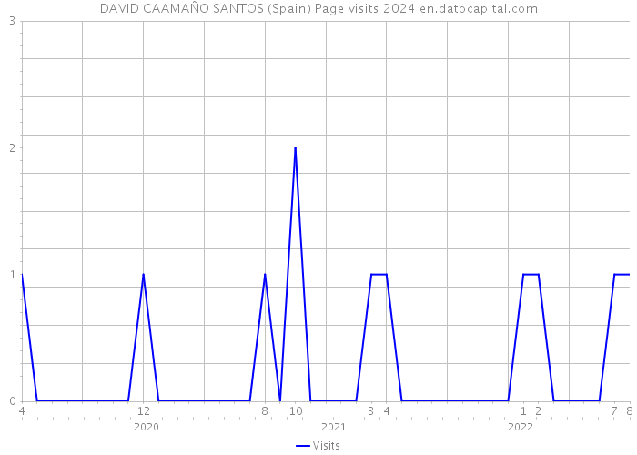 DAVID CAAMAÑO SANTOS (Spain) Page visits 2024 