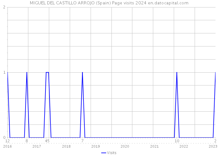 MIGUEL DEL CASTILLO ARROJO (Spain) Page visits 2024 