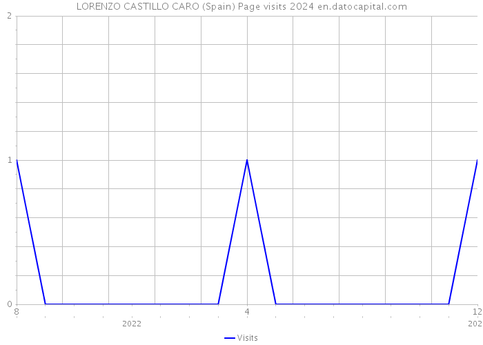 LORENZO CASTILLO CARO (Spain) Page visits 2024 
