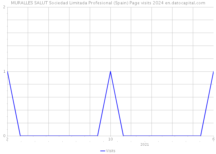 MURALLES SALUT Sociedad Limitada Profesional (Spain) Page visits 2024 