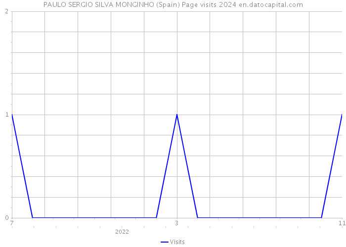 PAULO SERGIO SILVA MONGINHO (Spain) Page visits 2024 