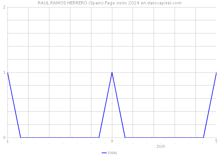 RAUL RAMOS HERRERO (Spain) Page visits 2024 