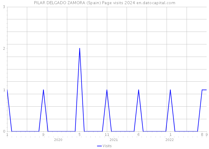 PILAR DELGADO ZAMORA (Spain) Page visits 2024 