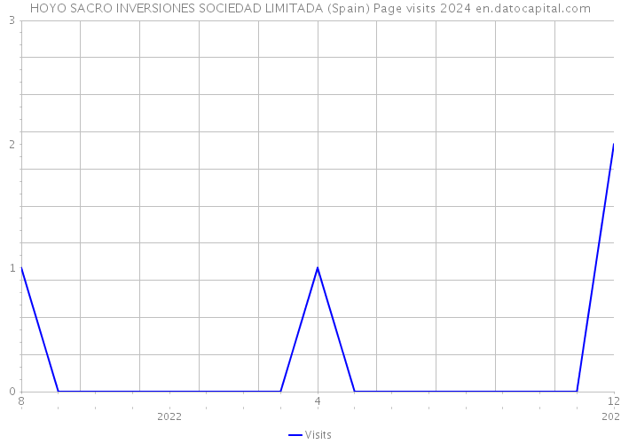 HOYO SACRO INVERSIONES SOCIEDAD LIMITADA (Spain) Page visits 2024 