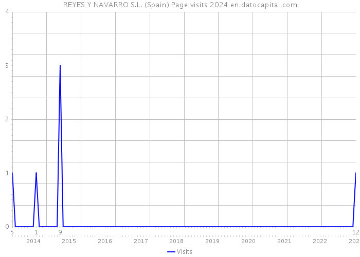 REYES Y NAVARRO S.L. (Spain) Page visits 2024 