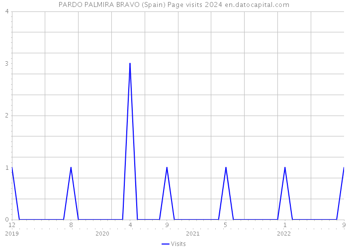 PARDO PALMIRA BRAVO (Spain) Page visits 2024 