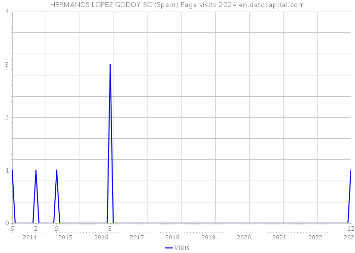 HERMANOS LOPEZ GODOY SC (Spain) Page visits 2024 