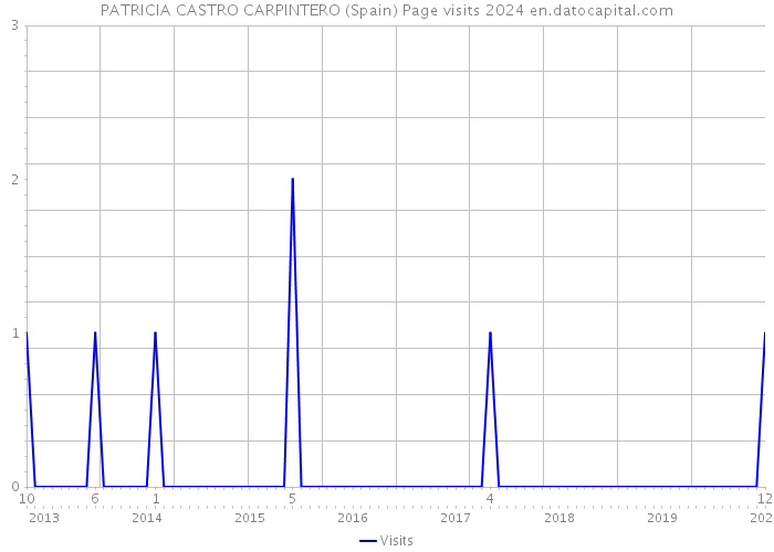 PATRICIA CASTRO CARPINTERO (Spain) Page visits 2024 