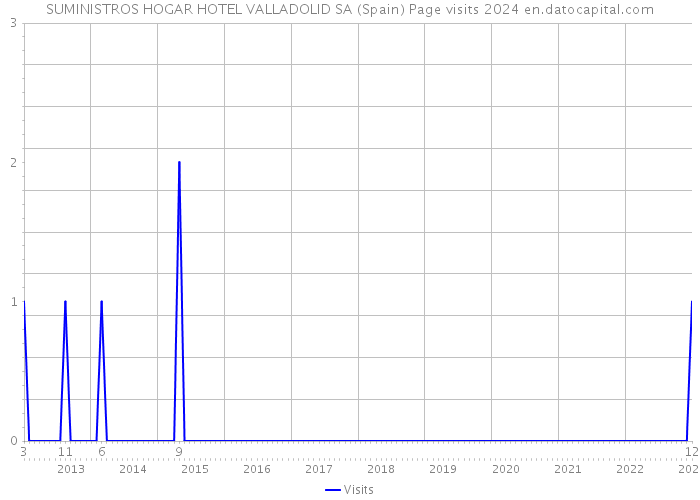 SUMINISTROS HOGAR HOTEL VALLADOLID SA (Spain) Page visits 2024 