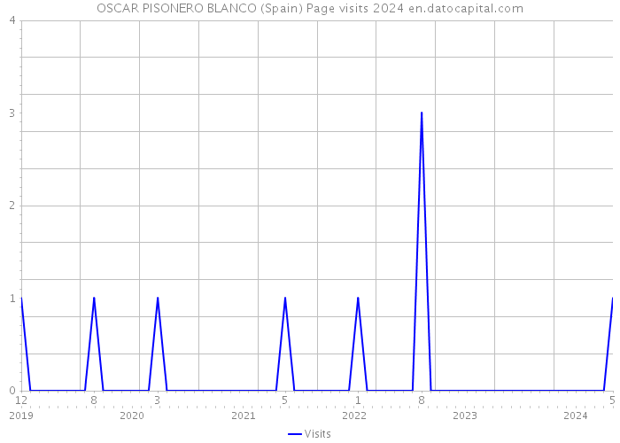 OSCAR PISONERO BLANCO (Spain) Page visits 2024 