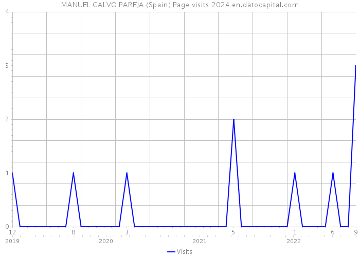 MANUEL CALVO PAREJA (Spain) Page visits 2024 