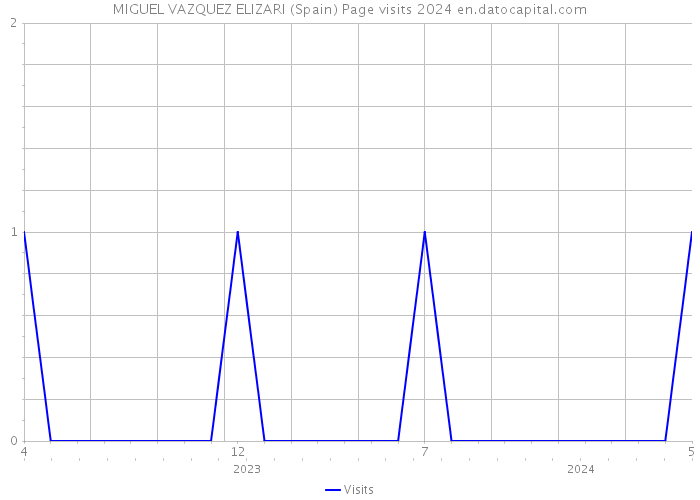 MIGUEL VAZQUEZ ELIZARI (Spain) Page visits 2024 